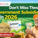 Don’t Miss These Government Subsidies in 2026