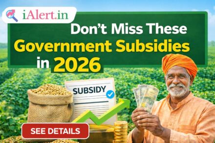 Don’t Miss These Government Subsidies in 2026